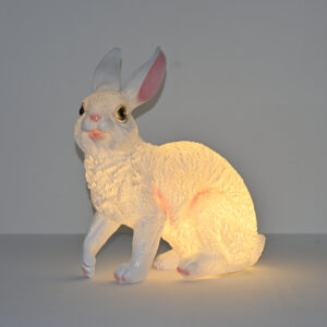 2162 Rabbit Light